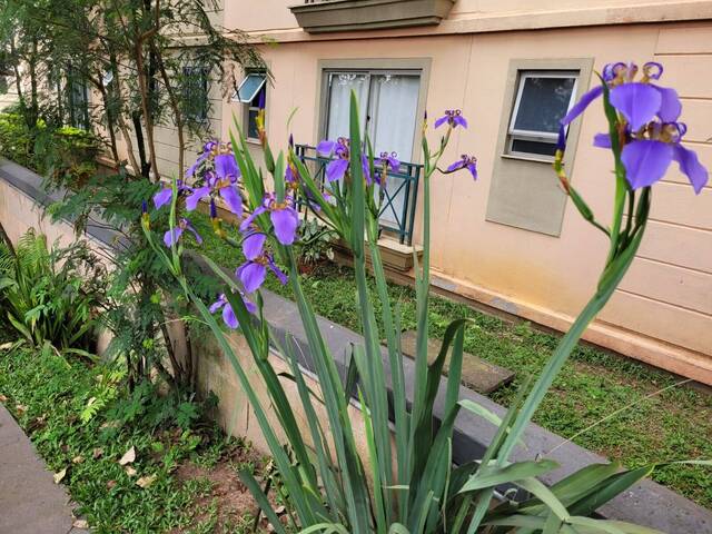 #2797 - Apartamento para Locação em São Paulo - SP - 2