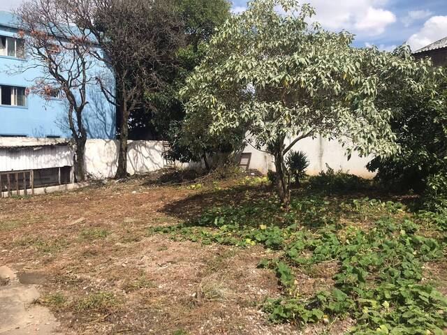 #3214 - Terreno para Venda em São Bernardo do Campo - SP - 2