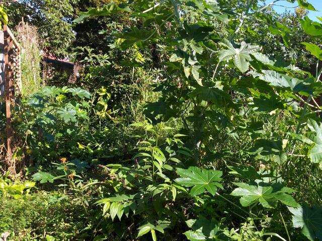 Área para Venda em São Bernardo do Campo - 4