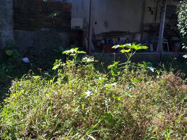 Área para Venda em São Bernardo do Campo - 5