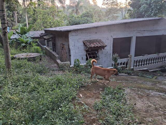 #3541 - Chácara para Venda em Itapevi - SP - 1