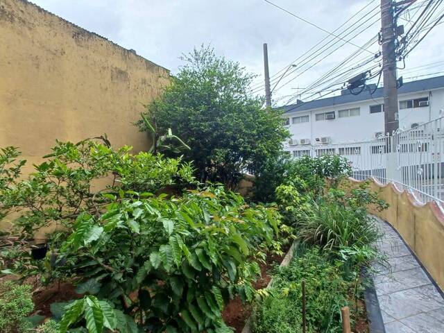 Casa para Locação em Diadema - 4