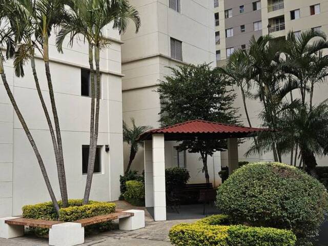 Apartamento para Venda em São Bernardo do Campo - 5
