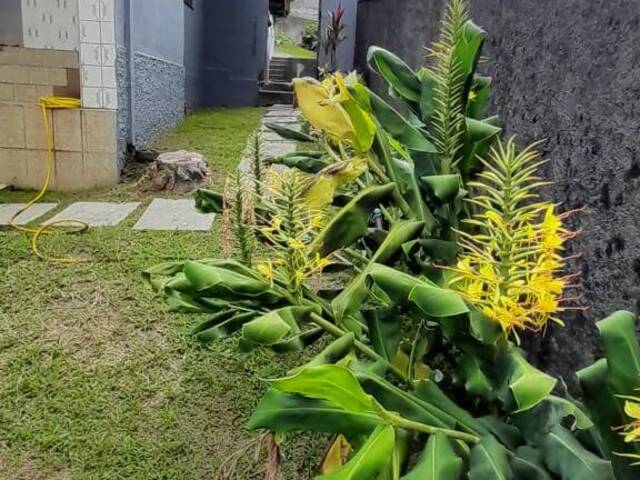 #3675 - Casa para Venda em Diadema - SP - 1