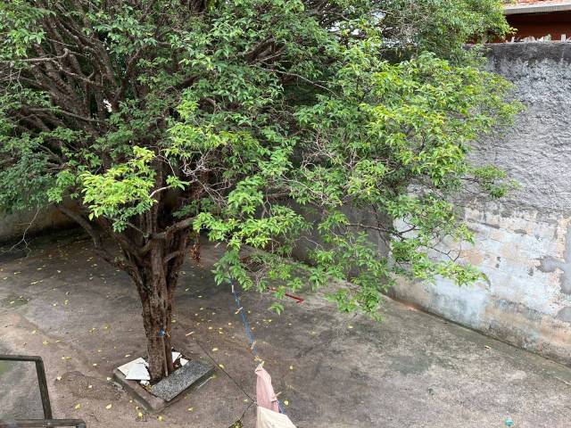 #3769 - Casa para Venda em São Paulo - SP - 1