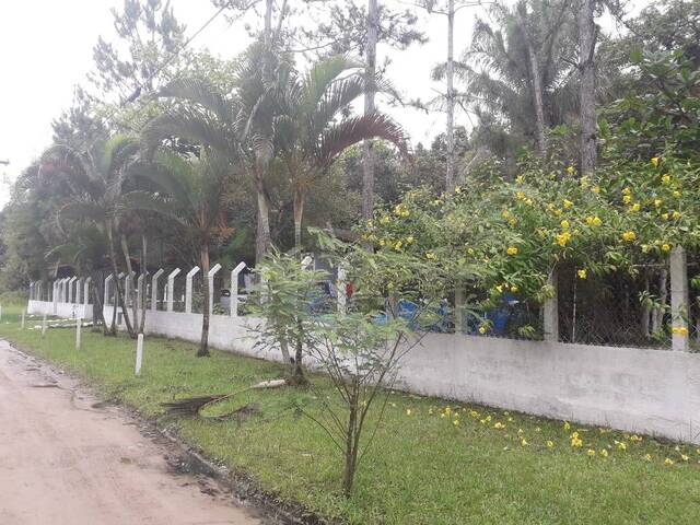 #3800 - Chácara para Venda em Itanhaém - SP - 2