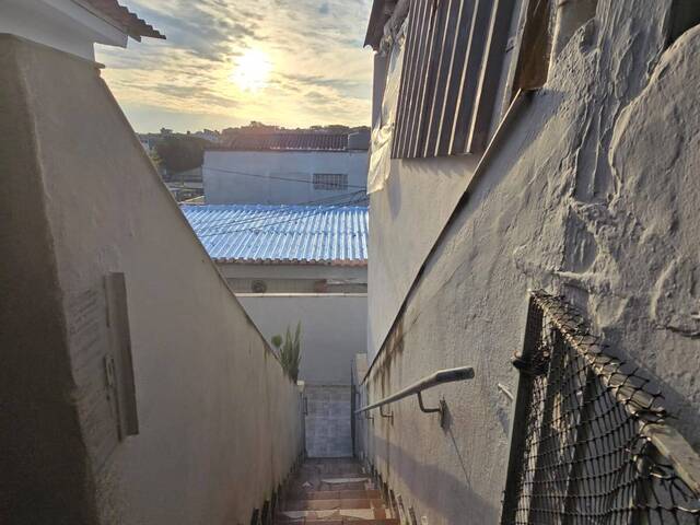 Casa para Locação em Diadema - 3
